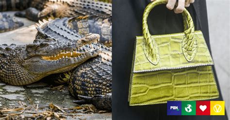 hermes crocodile cruelty